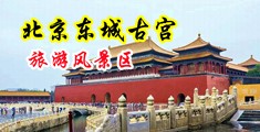 操逼操老逼中国北京-东城古宫旅游风景区